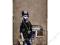 galaxy tab 8,9 8.9 etui pokrowiec BANKSY DARK HH