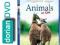 ANIMALS IN LOVE (Blu-ray) @ ZWIERZETA @ HIT @