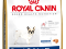 ROYAL CANIN FRENCH BULLDOG ADULT - 1kg