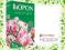 BIOPON nawóz do MAGNOLII granulowany 1kg magnolia