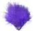 Marabut, Marabou - purpurowy.