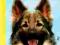 Psy stróżujące: tresura i wychowanie - Hause -NOWA