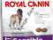Royal Canin Giant Sensible 4kg wrażliwy żołądek