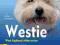 Westie West highland terrier Poradnik