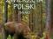 Zwierzęta Polski. Encyklopedia zwierząt