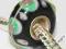 SZKLANY KORALIK MODULOWY LAMPWORK CHARM d6