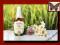 ALEPP Olej Laurowy 100 % 60 ml