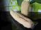 Naturalna gąbka loofah luffa peeling Egipt 30-40cm