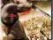 BEN-HUR - DVD NOWY