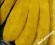Fasola szparagowa Mamutina wyjątkowa żółta 50g