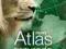Atlas do przyrody Świat wokół nas - Duży lew Era