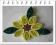 Quilling- papierowe "słoneczniki"
