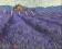 Plakat obraz 30x24cm WGA-09273 LAVENDER FIELDS I