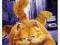 Garfield (DVD)