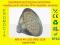 Żarówka mr16 48 led smd ciepła 230V 60 80 21 24