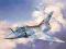 REVELL Mirage 2000 C