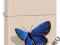 ZAPALNICZKA ZIPPO- MOTYL-24676