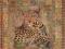 Plakat obraz 40x50cm WGM-3.04129 LEOPARD