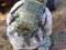 PLECAK US ASSAULT PACK  MCCUU MARPAT   30 LITRÓW