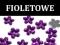 LIKWIDACJA__ Kwiatki akryl _____ FIOLETOWE_ 50 szt