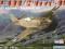 HOBBY BOSS P40BC Hawk81