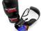 Rękawice skórzane 12 oz Professional Fighter box