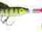 Jaxon Obrotówka Minnow Plus 1 / 10,0g / C