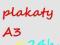 Plakat A3 1szt./A4_2szt/A5_4szt/A6_8szt kolor 24H!