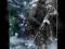 Call of Duty Modern Warfare - plakat 40x50cm