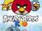 Gra City Interactive Angry Birds Rio PC