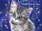 Magiczny kotek podwójne kłopoty Sue Bantley płomyk