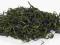 Mao Feng Qingshan organic! 50g zielona herbata