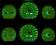 Dioda LED SMD PLCC-2 zielona TABLICA ROZDZIELCZA
