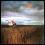DEPECHE MODE A Broken Frame     super stan