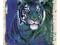 Plakat obraz 50x60cm WGX-7754 EYES OF THE TIGER (