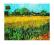 Plakat obraz 60x50cm WGX-7887 ARLES LES IRISES (L