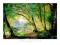 Plakat obraz 80x60cm WGX-8036 A FOREST GLADE (LM)