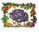 Plakat obraz 30x24cm WGX-9145 CABBAGE (LM)