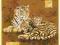 Plakat obraz 24x30cm WGX-9183 TIGER AND TWO CUBS (