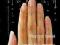 Czasopismo Nail Expert nr (07) 5/2006