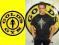 GOLD'S GYM KOSZULKA CZARNA KULTOWA N. LOGO GOLDS L