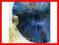 Illuminated / Better Than Love - Hurts(7'')[nowa
