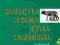 Gramatyka opisowa języka łacińskiego Wikarjak