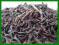 DOM HERBAT - Herbata EARL GREY - czarna aromat 50g
