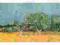 Plakat obraz 100x35cm EMA-E673 VIEW OF ARLES WITH