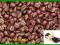 KAWA ZIARNISTA / MIELONA ~~ WANILIOWA ~~ 50 g