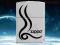 $ ZAPALNICZKA ZIPPO 2270 FLAME SPIRAL NA PREZNT
