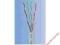 KABEL MADEX UTP 305m KAT.5e DRUT SZARY |!