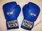 Rękawice bokserskie GREEN HILL SAFYAN 10 oz