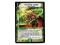 *DM-12 DUEL MASTERS - UNCANNY TURNIP - !!!